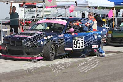 media/Oct-13-2024-Lucky Dog Racing (Sun) [[167cdb2262]]/Pits-Driver Changeovers-Refueling-Etc/